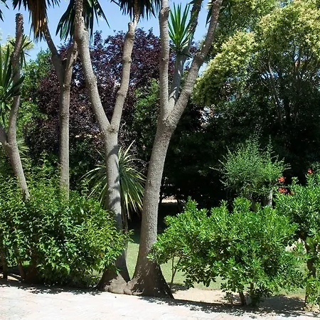 冲浪马尔酒店 酒店